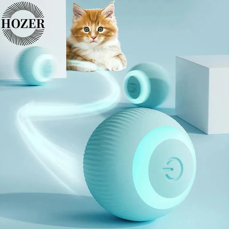 Cat Interactive Ball